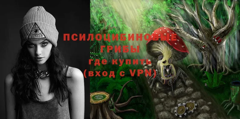 цены наркотик  KRAKEN вход  Галлюциногенные грибы Psilocybe  Мытищи 